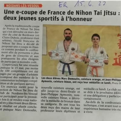 Article er ntj 1