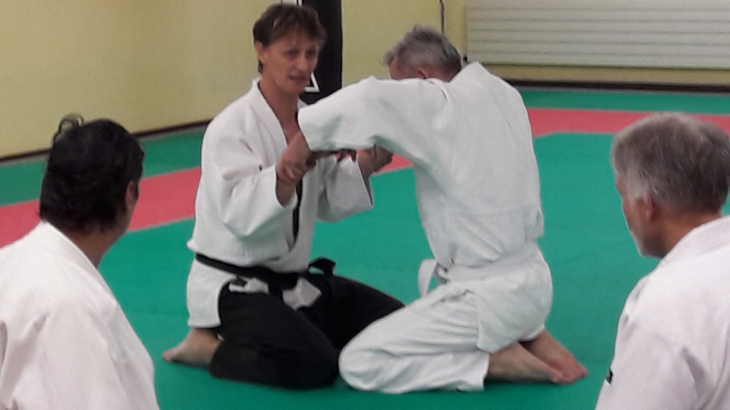 entraînement aikido (4)