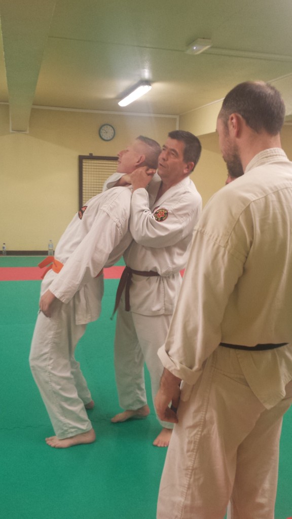 Nihon Tai Jitsu novembre 2015 (10)