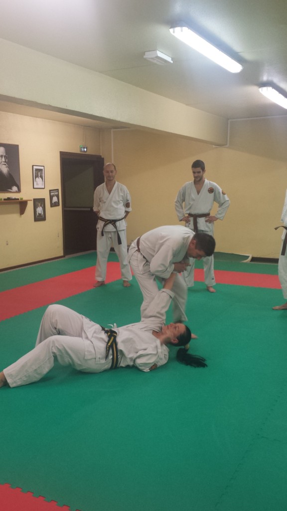 Nihon Tai Jitsu novembre 2015 (12)