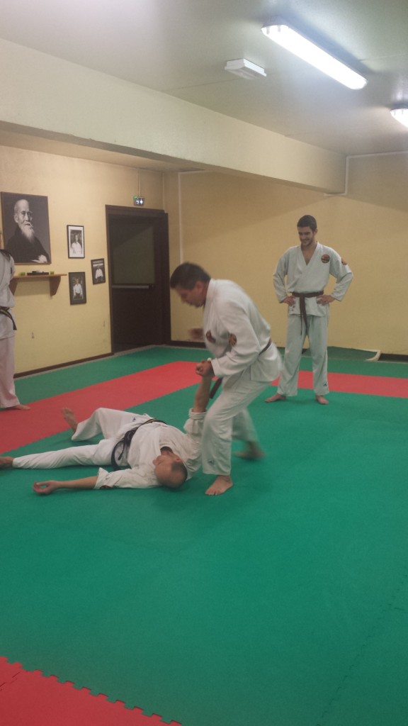 Nihon Tai Jitsu novembre 2015 (13)