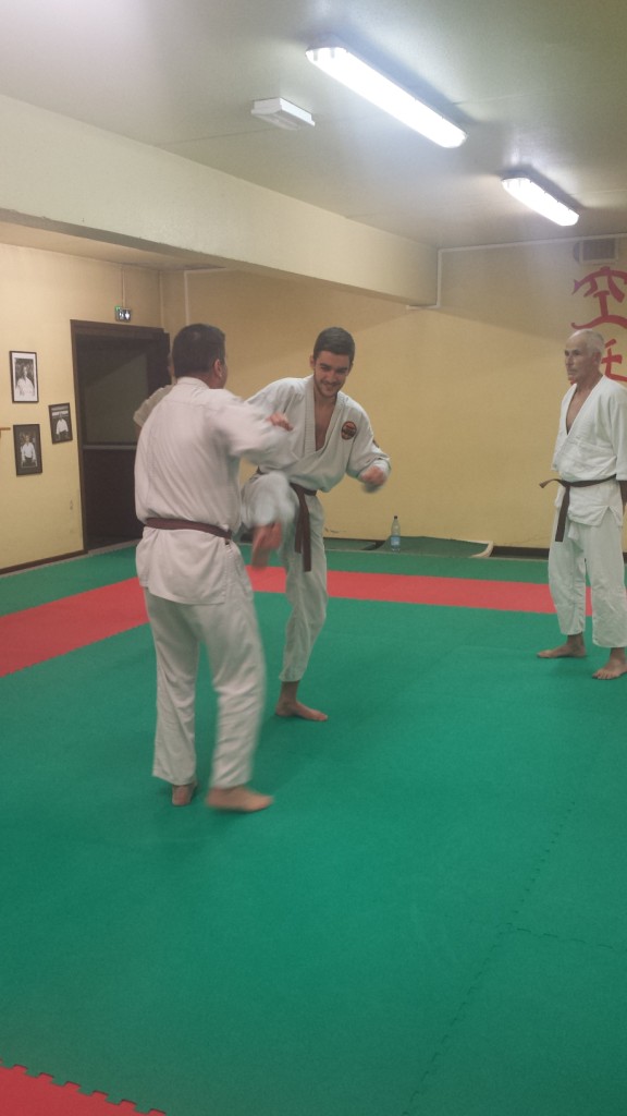 Nihon Tai Jitsu novembre 2015 (14)