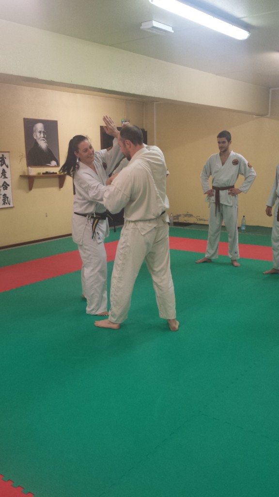 Nihon Tai Jitsu novembre 2015 (18)