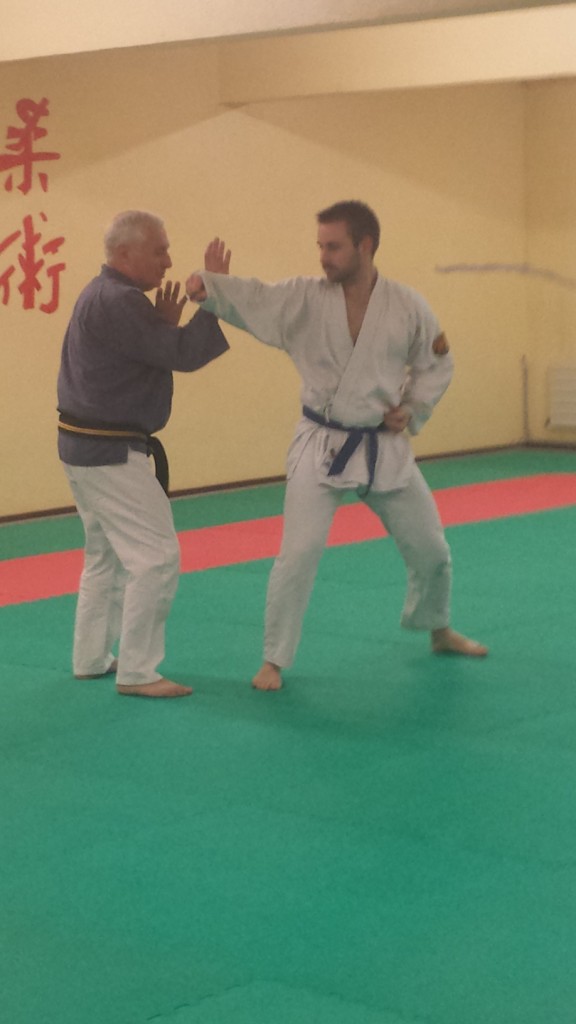 Nihon Tai Jitsu novembre 2015 (22)