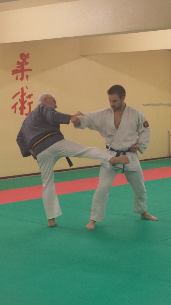 Nihon Tai Jitsu novembre 2015 (24)