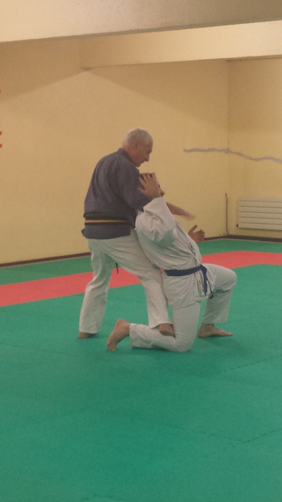 Nihon Tai Jitsu novembre 2015 (26)