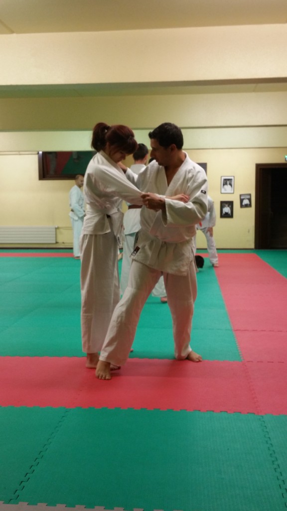 Nihon Tai Jitsu novembre 2015 (28)