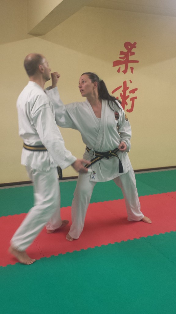Nihon Tai Jitsu novembre 2015 (30)