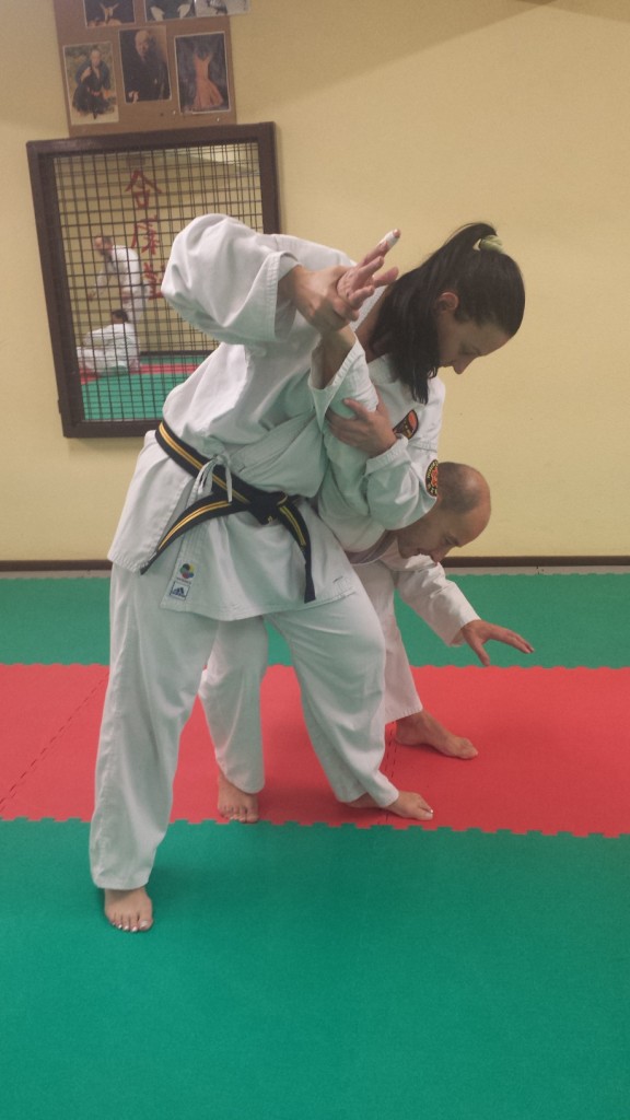 Nihon Tai Jitsu novembre 2015 (31)
