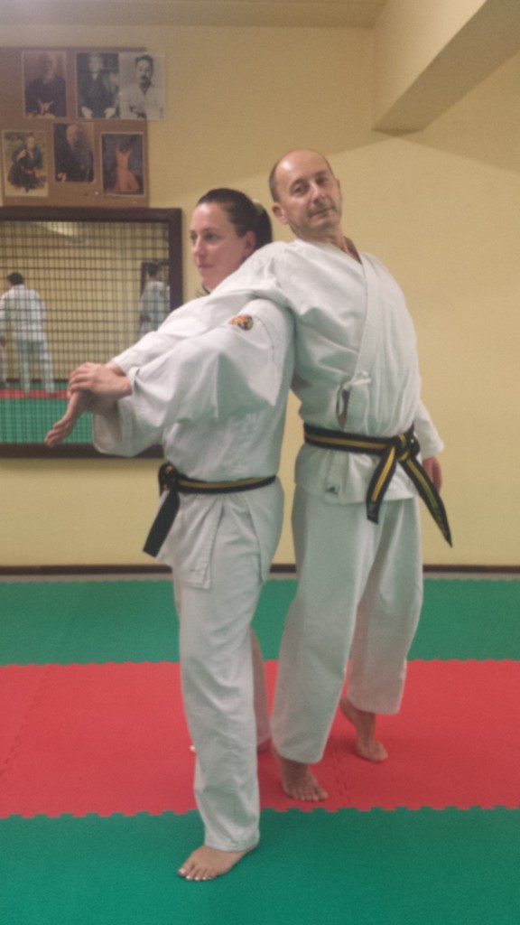 Nihon Tai Jitsu novembre 2015 (32)