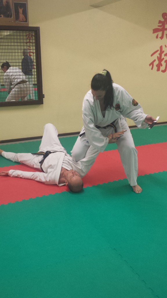 Nihon Tai Jitsu novembre 2015 (34)