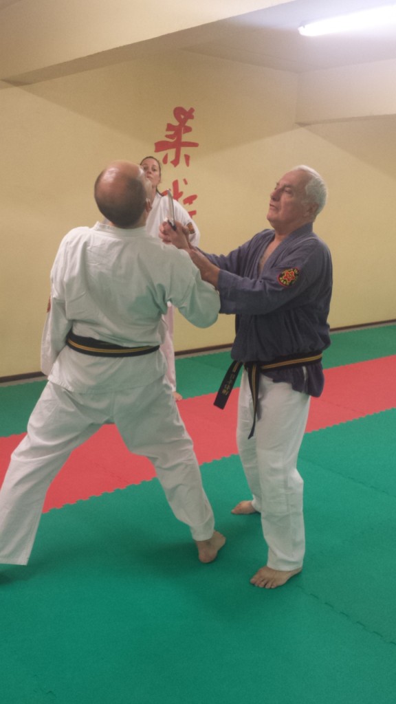 Nihon Tai Jitsu novembre 2015 (35)