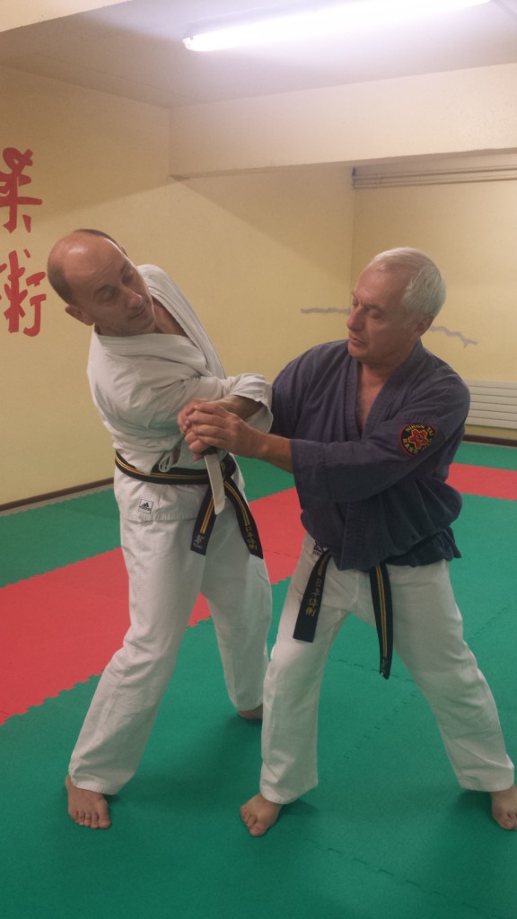 Nihon Tai Jitsu novembre 2015 (37)