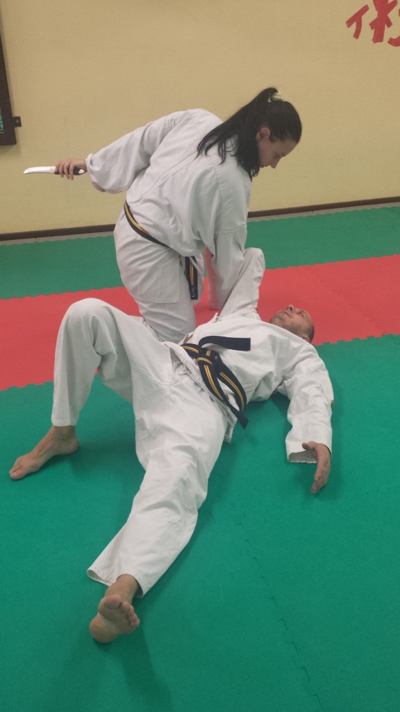 Nihon Tai Jitsu novembre 2015 (38)