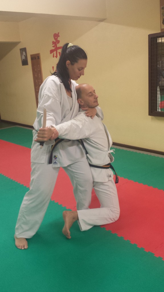 Nihon Tai Jitsu novembre 2015 (39)