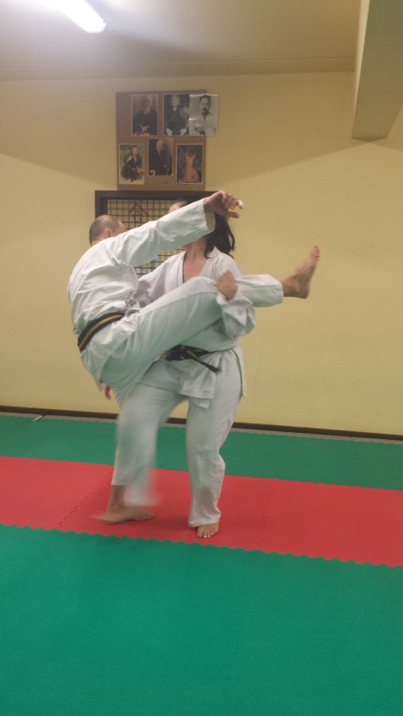 Nihon Tai Jitsu novembre 2015 (40)