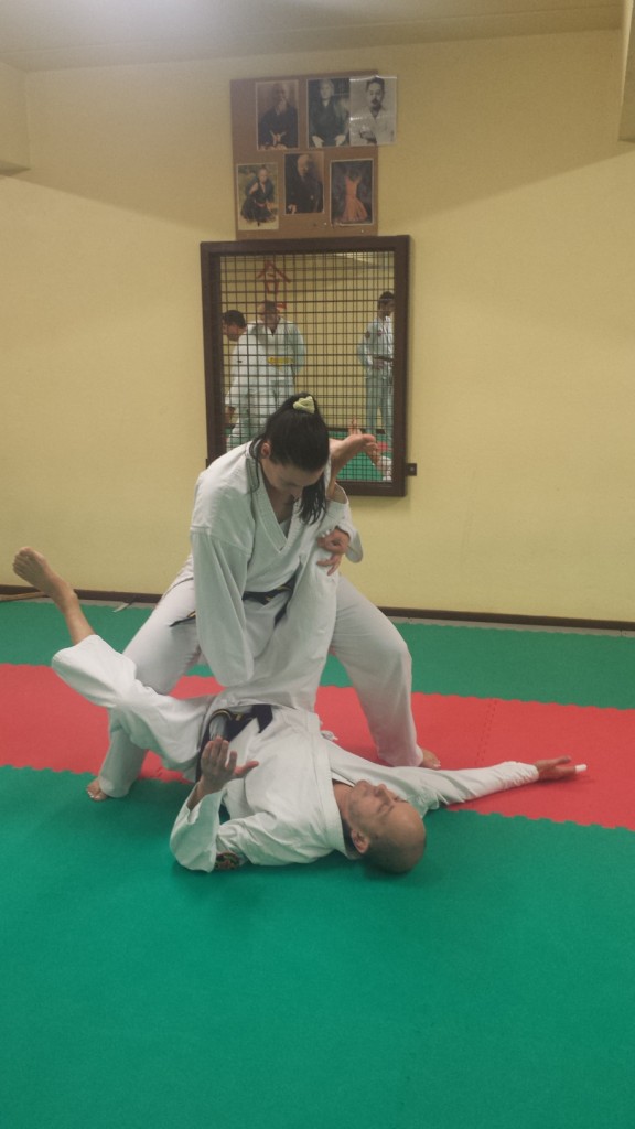 Nihon Tai Jitsu novembre 2015 (41)