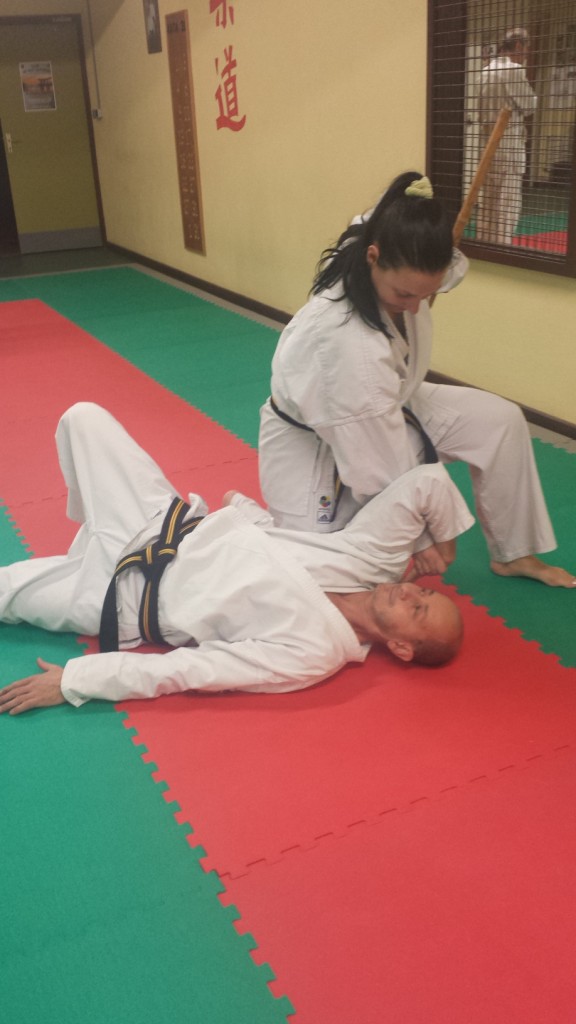 Nihon Tai Jitsu novembre 2015 (42)