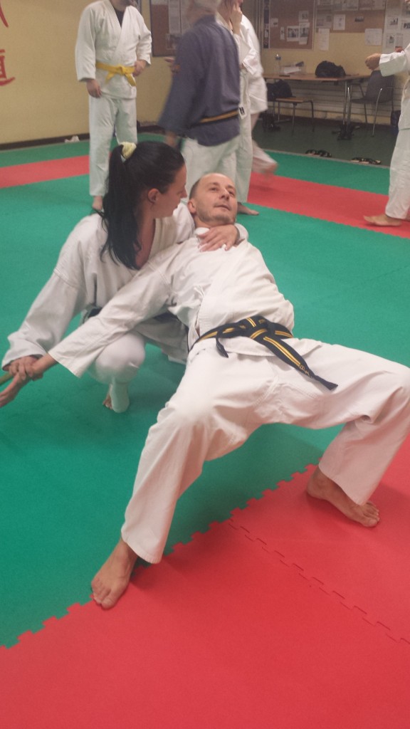 Nihon Tai Jitsu novembre 2015 (43)