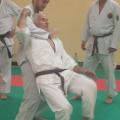 Nihon Tai Jitsu novembre 2015 (8)