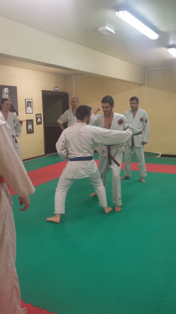 Nihon Tai Jitsu novembre 2015 (9)