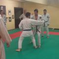 Nihon Tai Jitsu novembre 2015 (9)