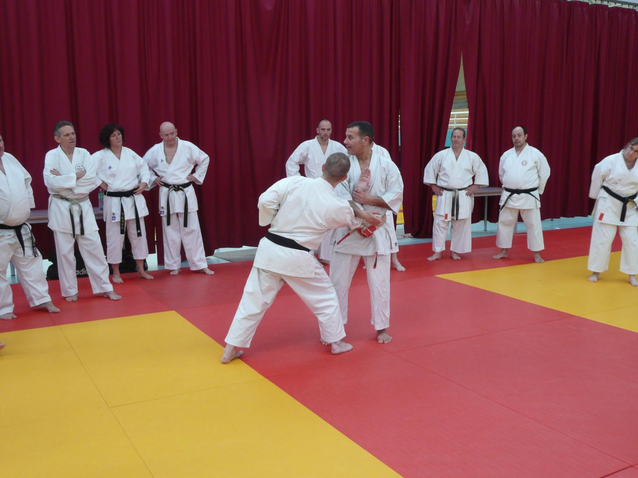 démonstration bunkai kata supérieur 1