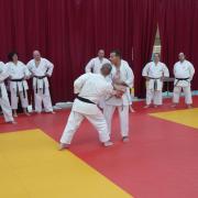 démonstration bunkai kata supérieur 1