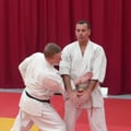 démonstration bunkai kata supérieur 2
