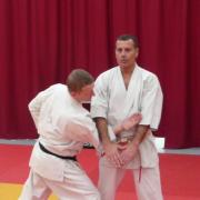 démonstration bunkai kata supérieur 2