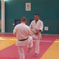 démonstration bunkai kata supérieur 3