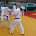 application  bunkai kata supérieur 