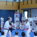 stage experts Montpellier 2015 (1)